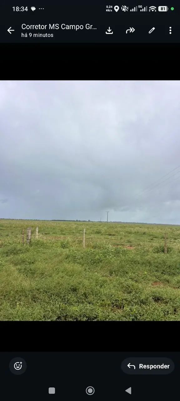 Fazenda de arrendamento 1.000 nova alvorada do sul MS. - Foto 3