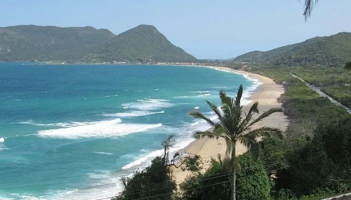 Terreno para Venda em Florianópolis, Morro das Pedras - Foto 3