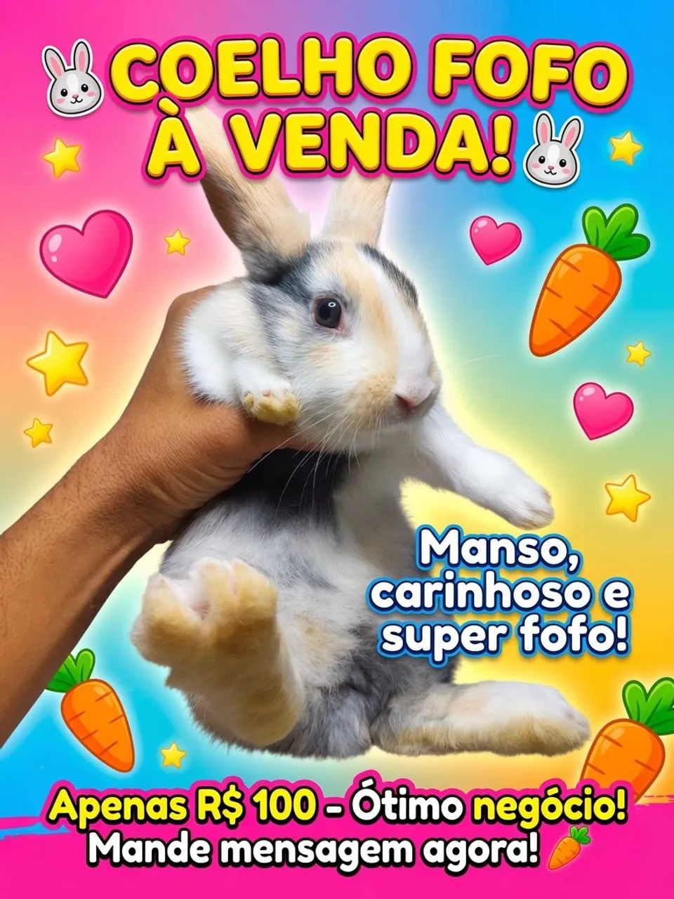 Coelho