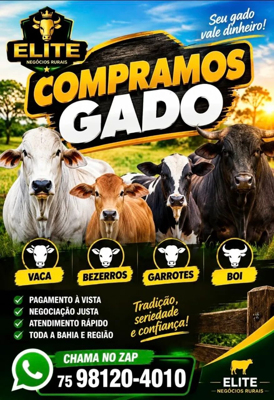 Bezerros