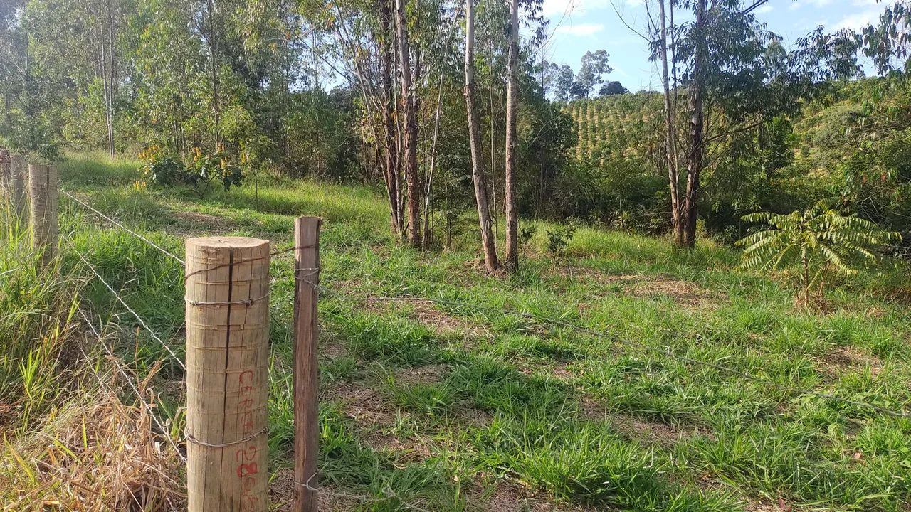 Vendo chácara em Belo vale de 2000 mt - Foto 2