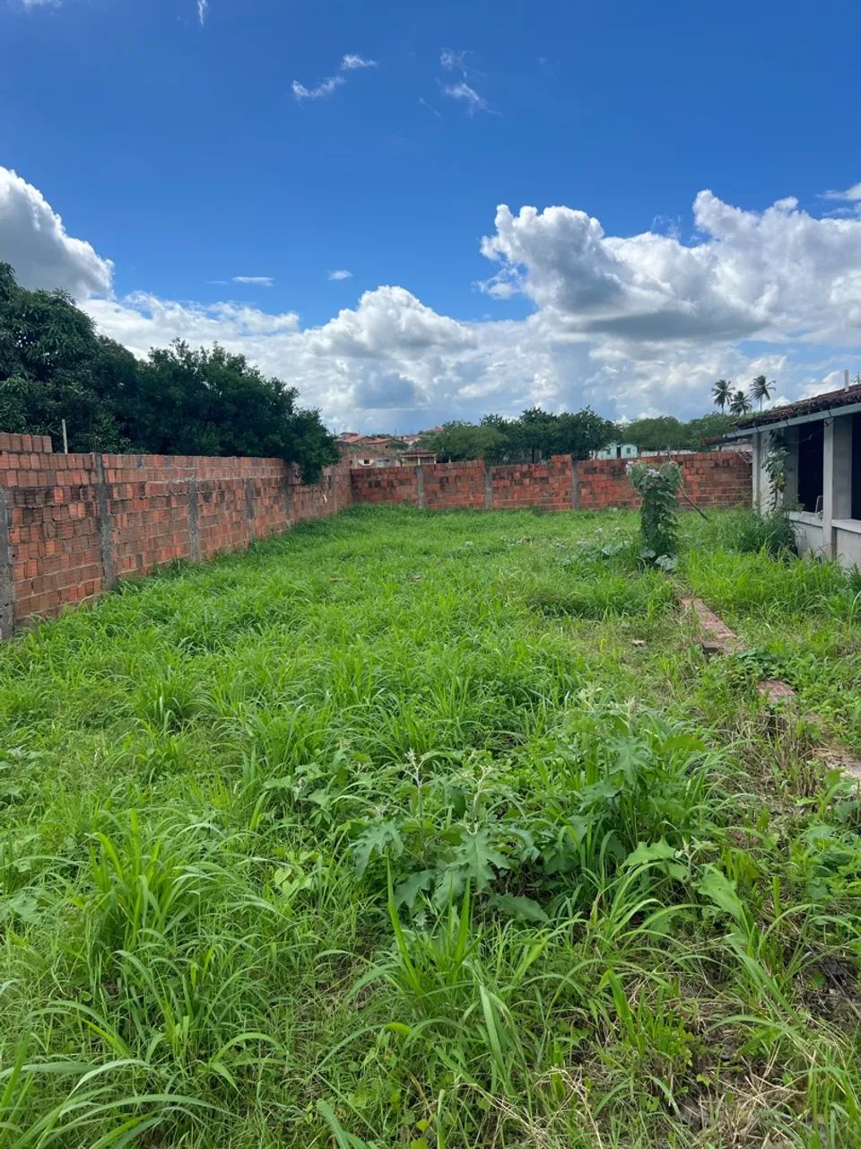 TERRENO À VENDA - MOGEIRO/PB - Foto 3