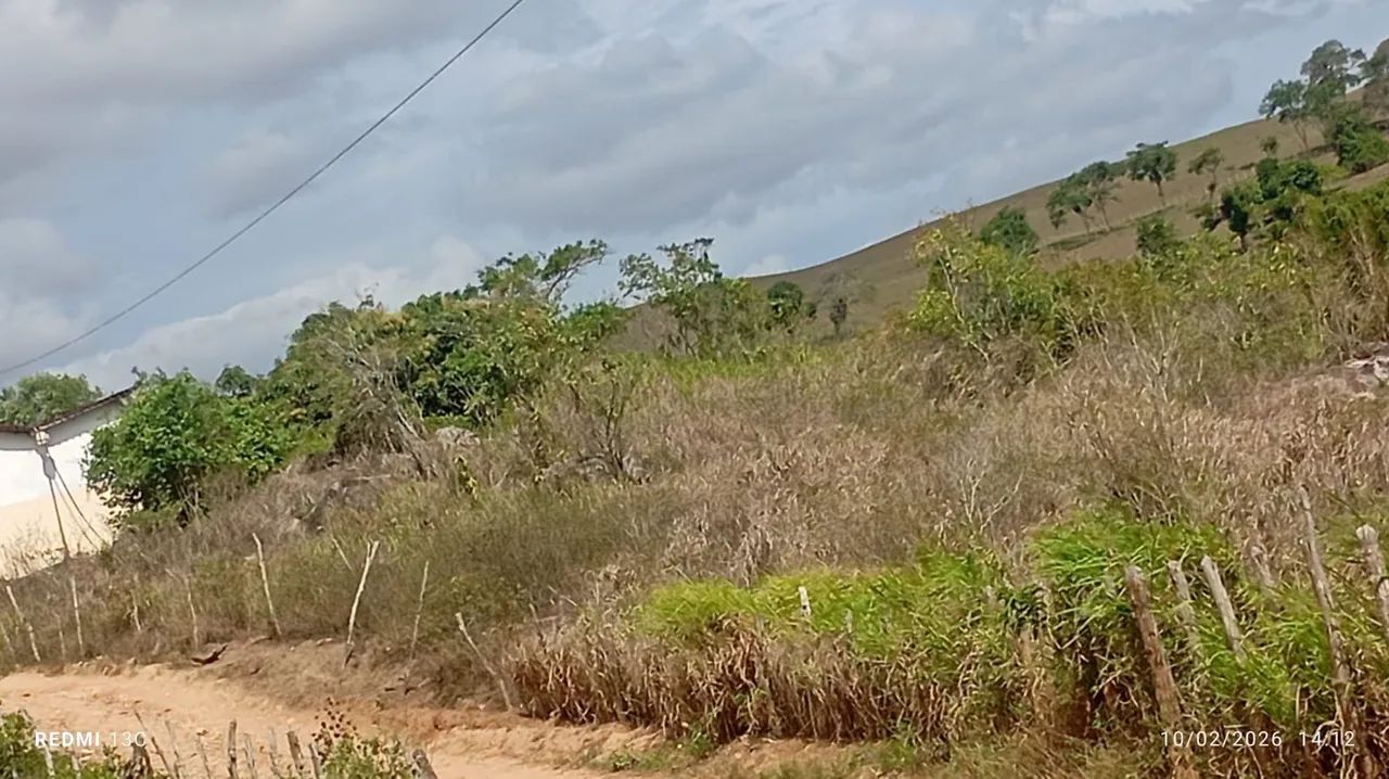 Foto - Bonito - 