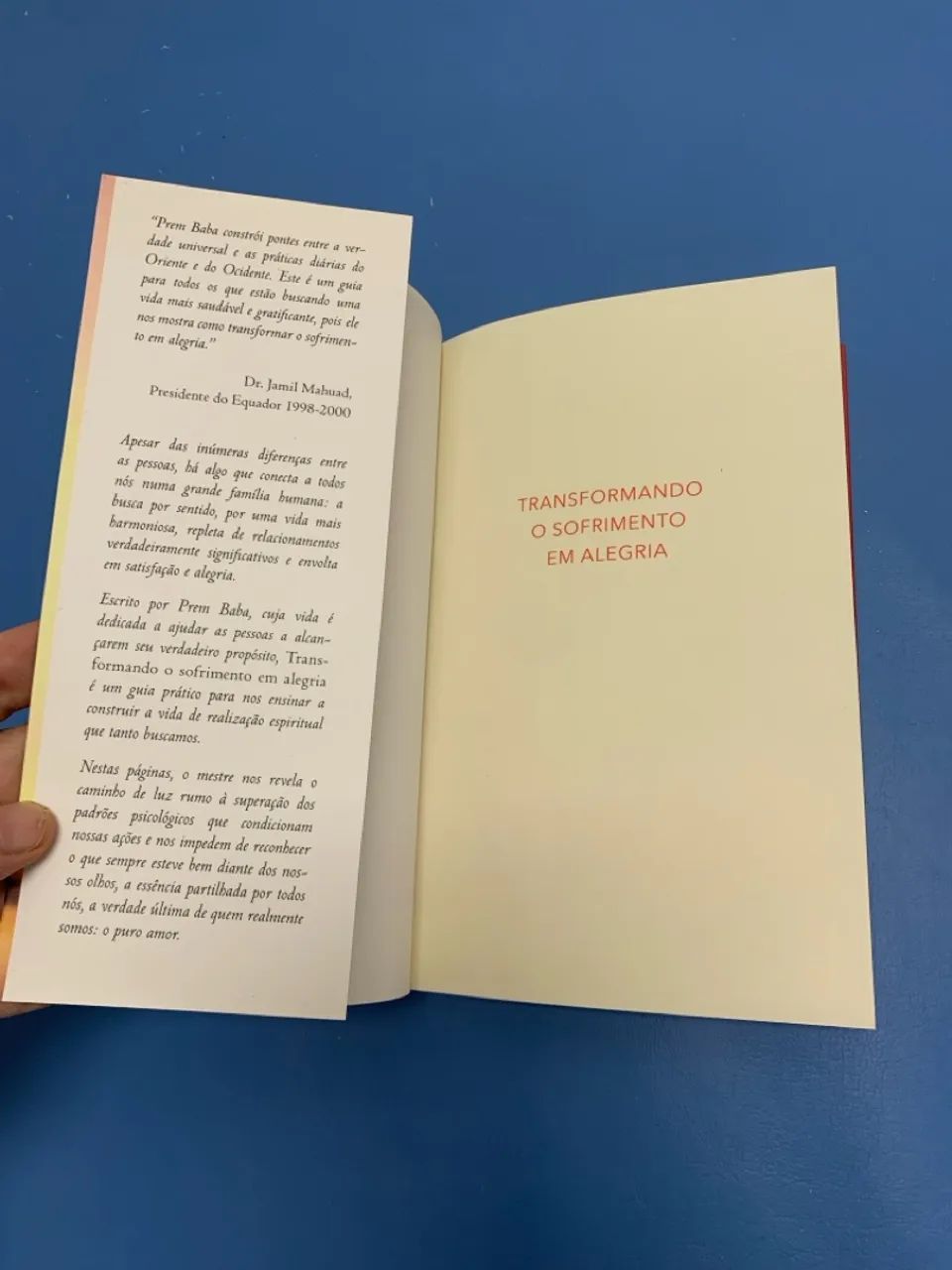Transformando o sofrimento em alegria - Sri Prem Baba  - Foto 3