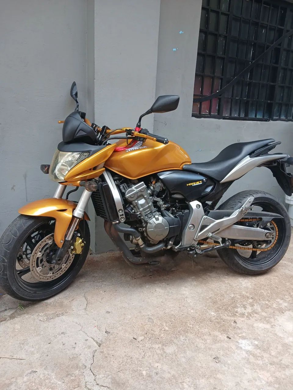 Hornet 600