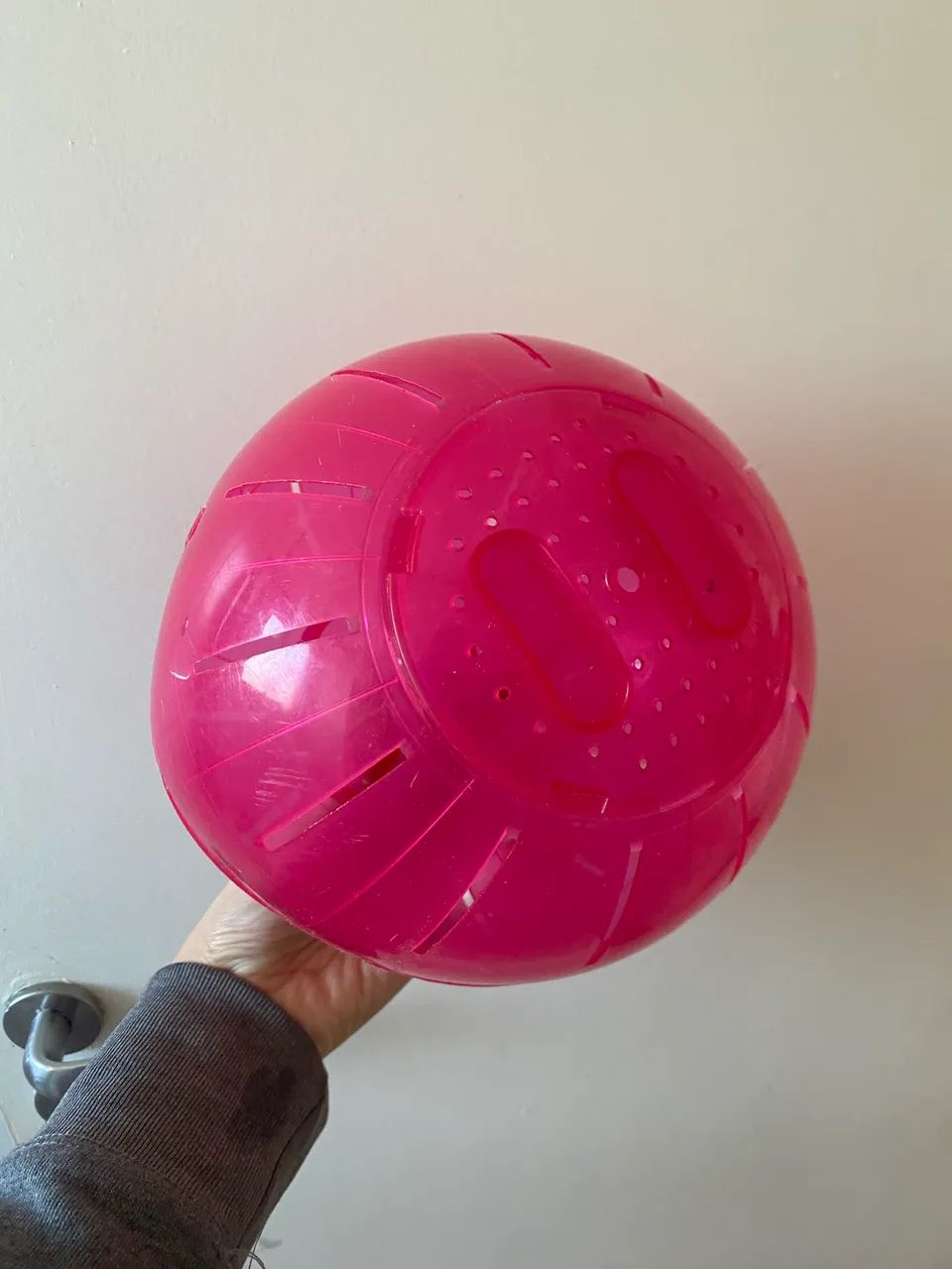 Bolinha hamster  - Foto 4