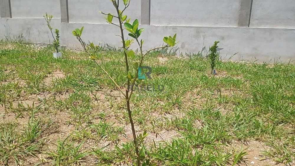 CHÁCARA PLANA E FORMADA COM ÁREA DE LAZER EM LORENA-SP - Foto 4