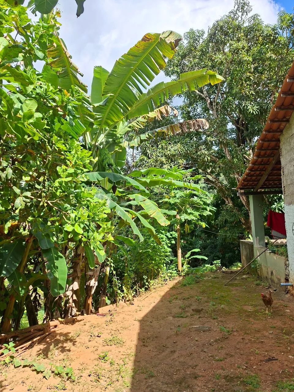 SITIO NO PACOTI
