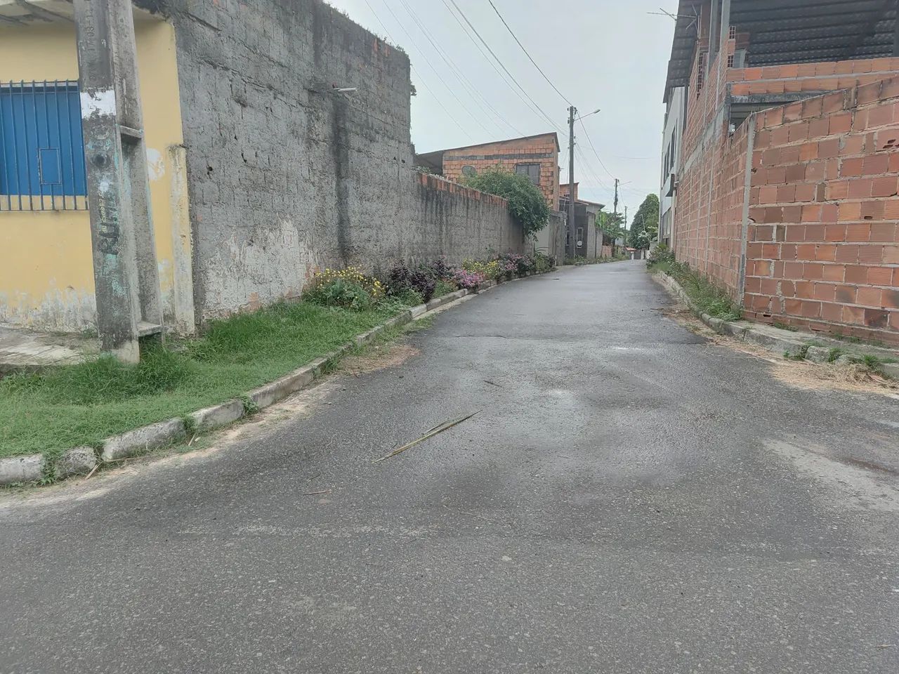 Foto - Camaçari - Coqueiros de Monte Gordo (Monte Gordo)