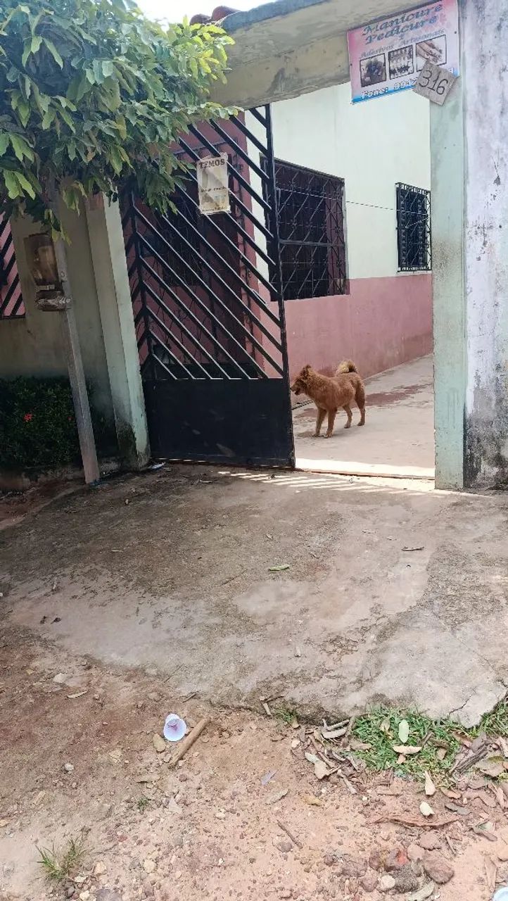 Foto - Santarém - Santarenzinho