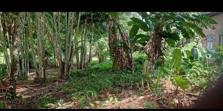 Terreno documentado  - Foto 3