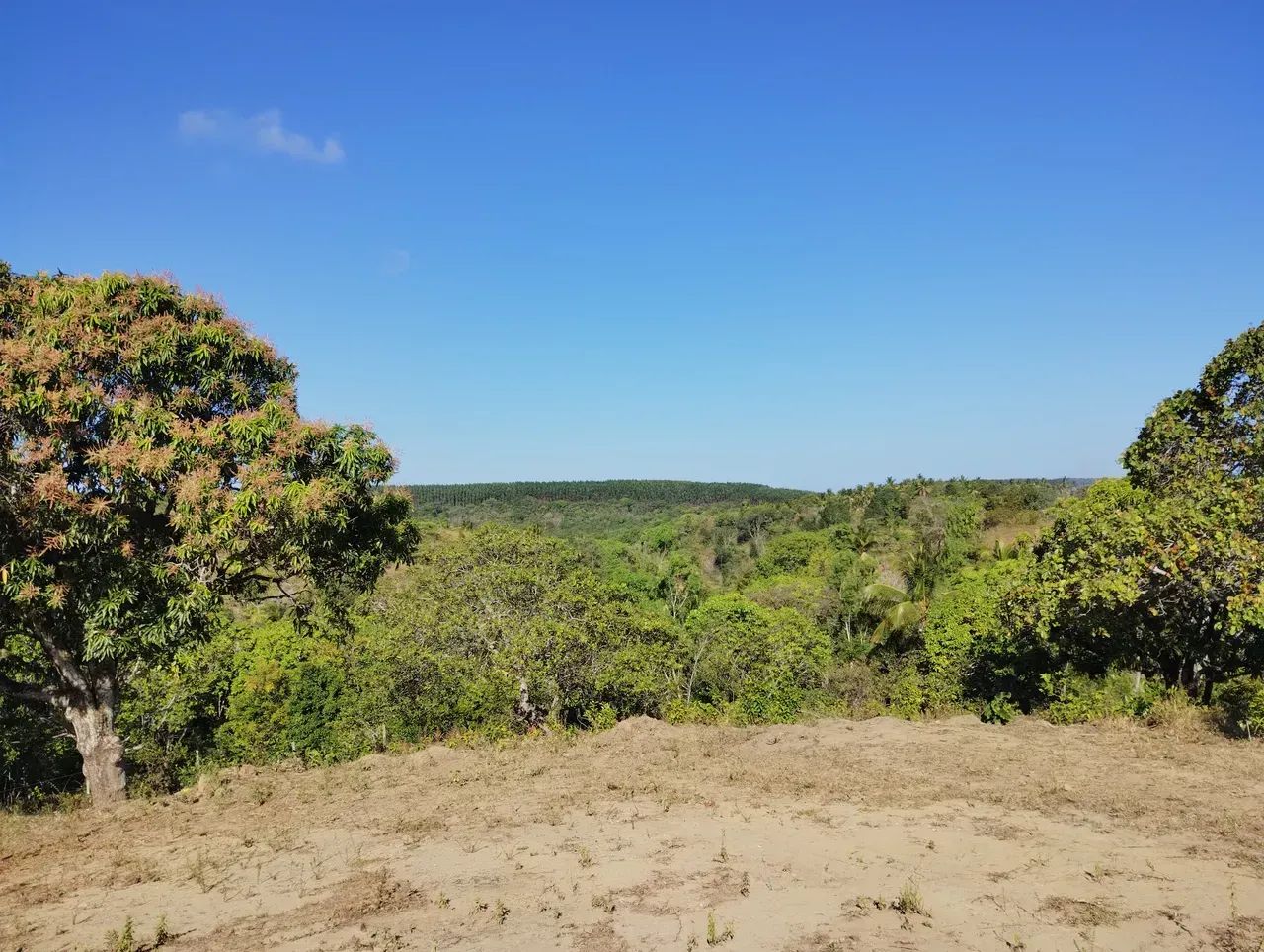 Ipioca, terreno chácara com 5 mil m2 - Foto 3