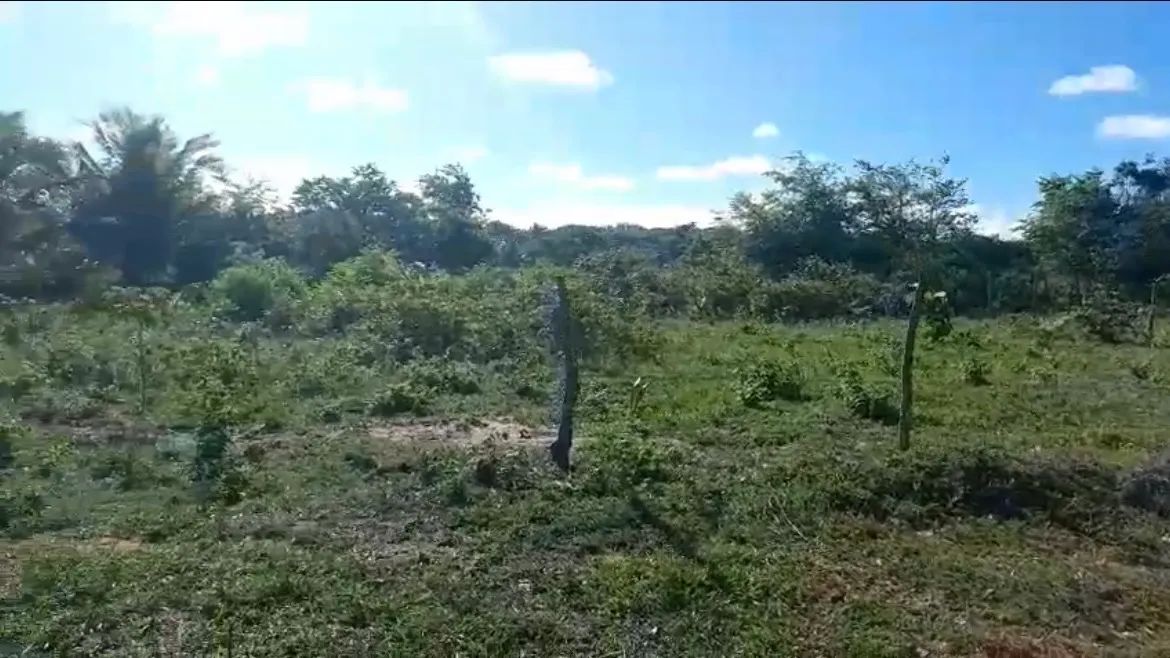 Vende-se terreno no Oitizeiro - Nísia Floresta/RN - Foto 3