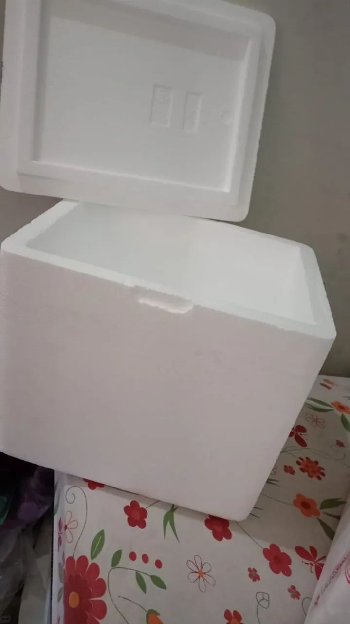 Caixa de isopor usadas 100 litros  - Foto 2