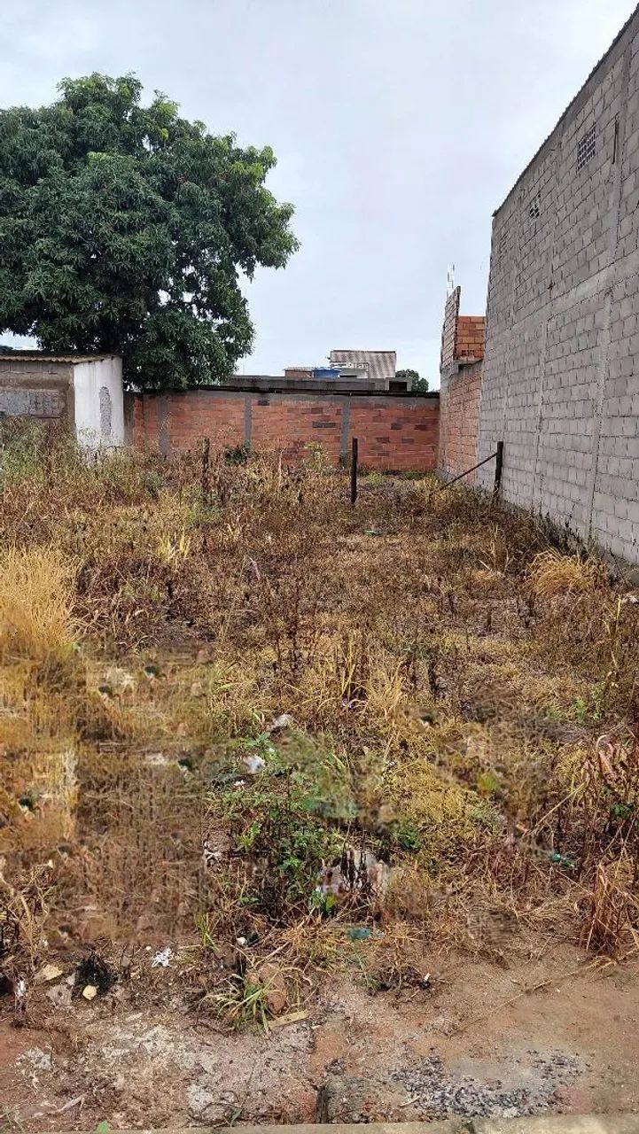 Vendo lote de 175m no bairro Leonório 1 - Foto 2