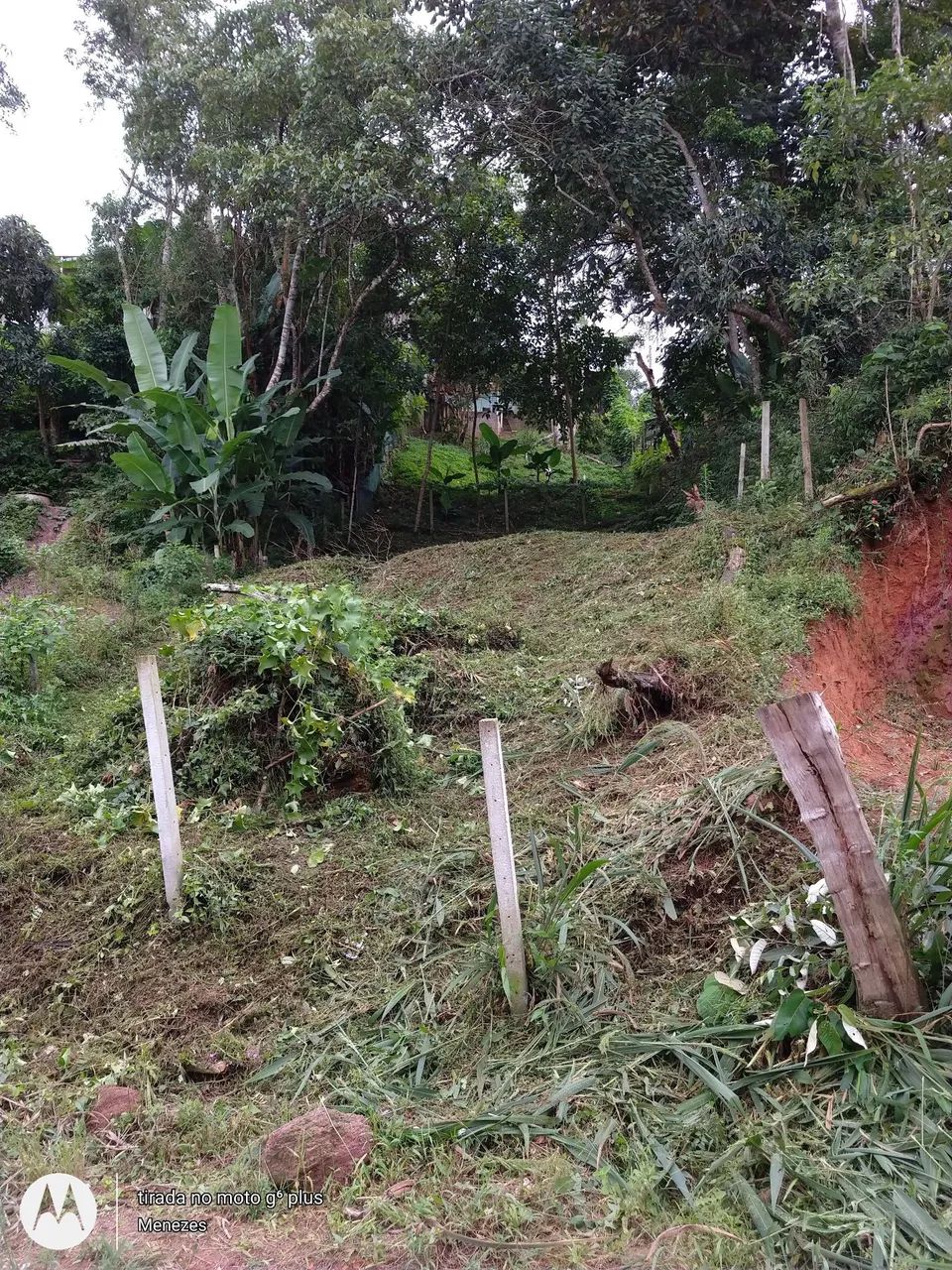 Terreno  - Foto 3