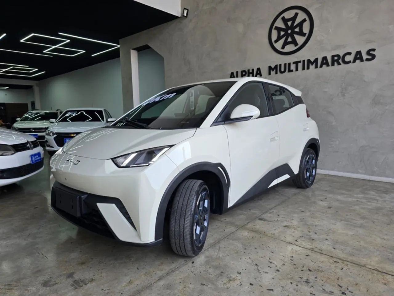 BYD Dolphin Mini (Elétrico) 2027