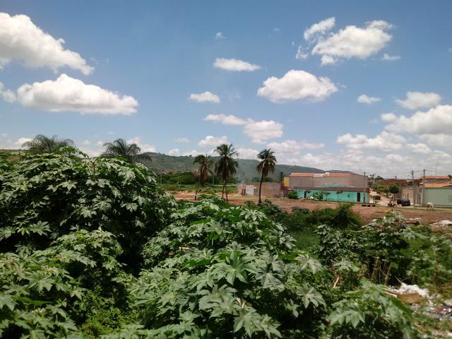 Vendo Terreno No Juazeiro do Norte! - Foto 8