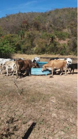 Fazenda 88,16 Alq - Venda ou Troca - UNAI - MG - Foto 11