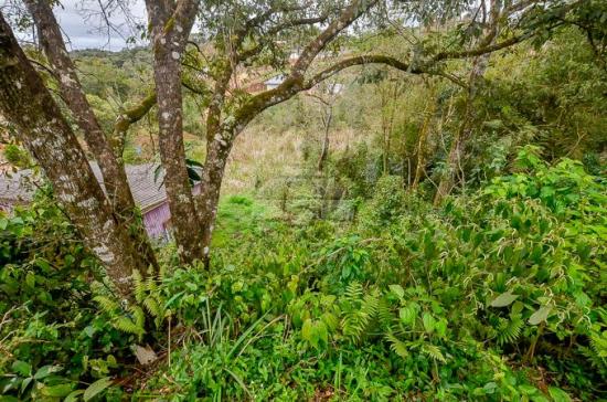 Terreno à venda em Jardim do rocio, Almirante tamandaré cod:154410 - Foto 15
