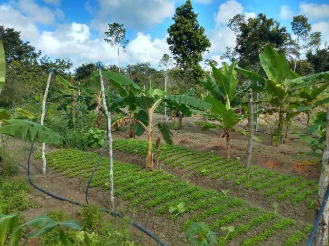 Sítio em Porto Seguro - Foto 3