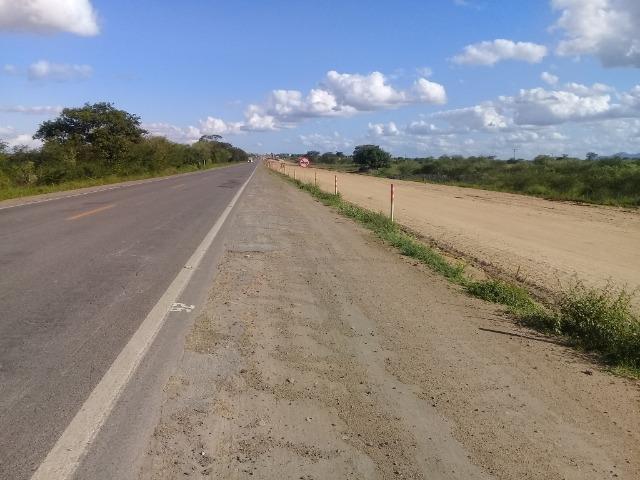 Excelente área de terra com 19.600 metros quadrados na BR 116 Norte - Foto 15