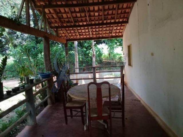 Fazenda/com um projeto que da valorização as terras - Foto 15