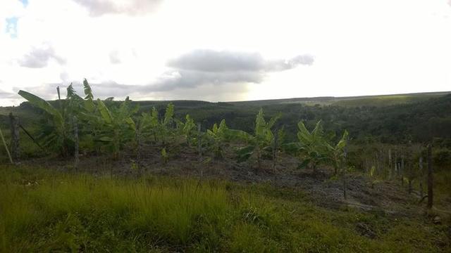 Fazenda em Entre Rios Ba - Foto 2