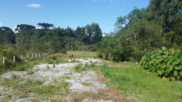 Chácara Miqueleto, ótima localização - Foto 15
