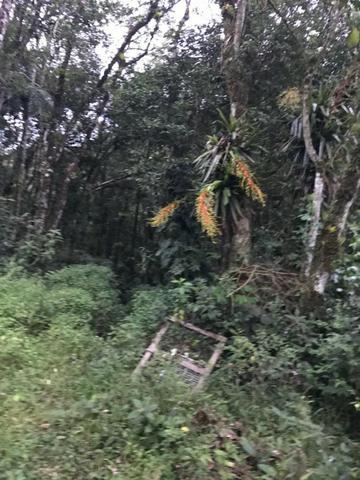 Oportunidade imperdível - Foto 4