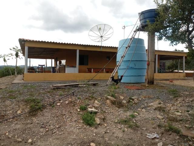 Fazenda 22 alqueires - Foto 10
