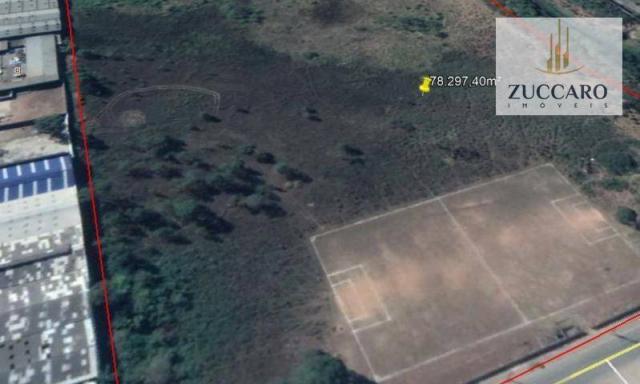 Terreno para alugar, 78297 m² por r$ 185.000/mês - vila nova bonsucesso - guarulhos/sp