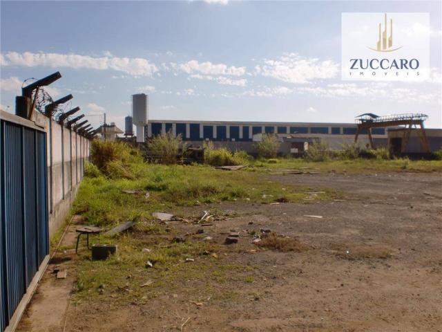 Terreno industrial para locação, vila nova bonsucesso, guarulhos - te0408. - Foto 3
