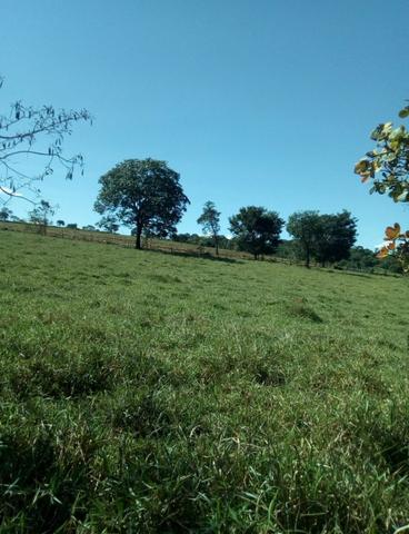 Chácara - Foto 6