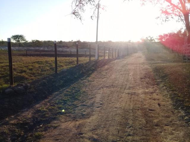 Lindíssima Fazendinha na região rural de Antonio Cardoso Bahia - Foto 7
