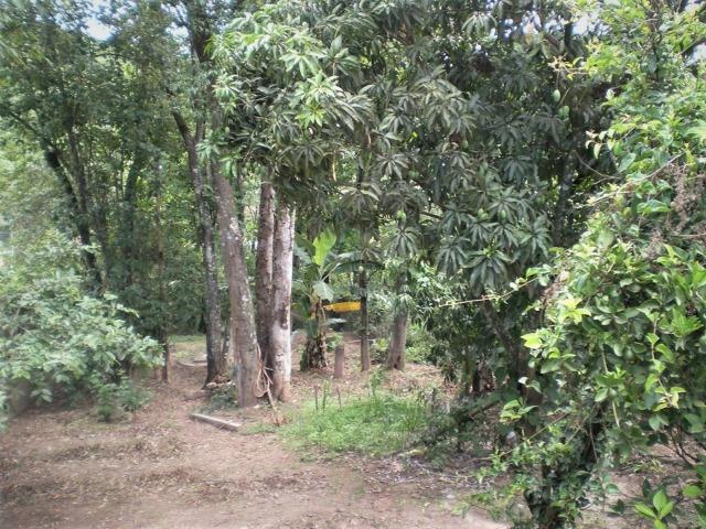 Chácara Com Duas Casas à Venda - Oportunidade de Negócio! - Foto 15