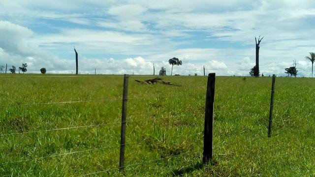 Fazenda em rio branco mt - Foto 17