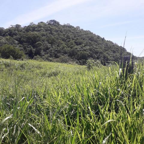 Fazenda Sítio Chácara Lote Terreno - Foto 4