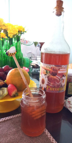 Puromel- O puro mel da abelha italiana de florada silvestre - Foto 3