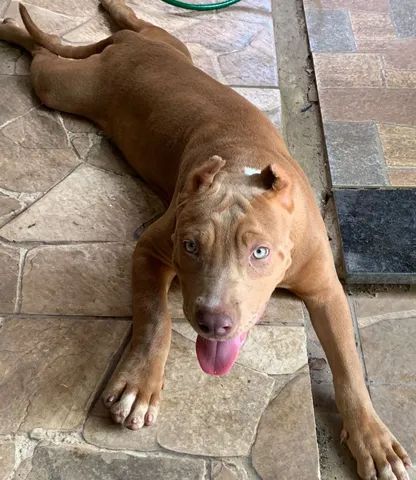 Pit monster 