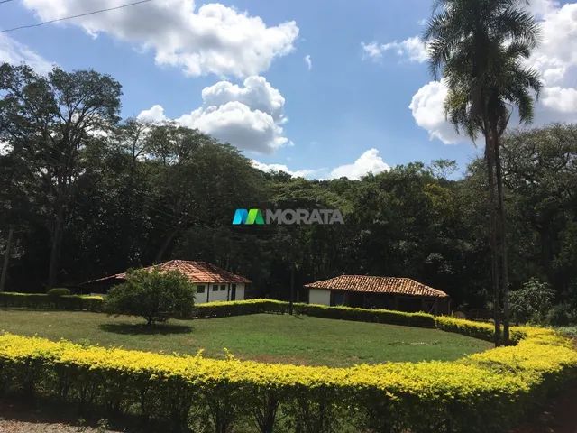 FAZENDA À VENDA - 710 HECTARES - CURVELO (MG) - Foto 3