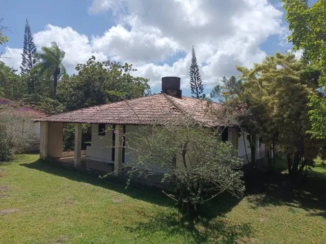 Sítio em Goiana com 7 hectares  - Foto 2