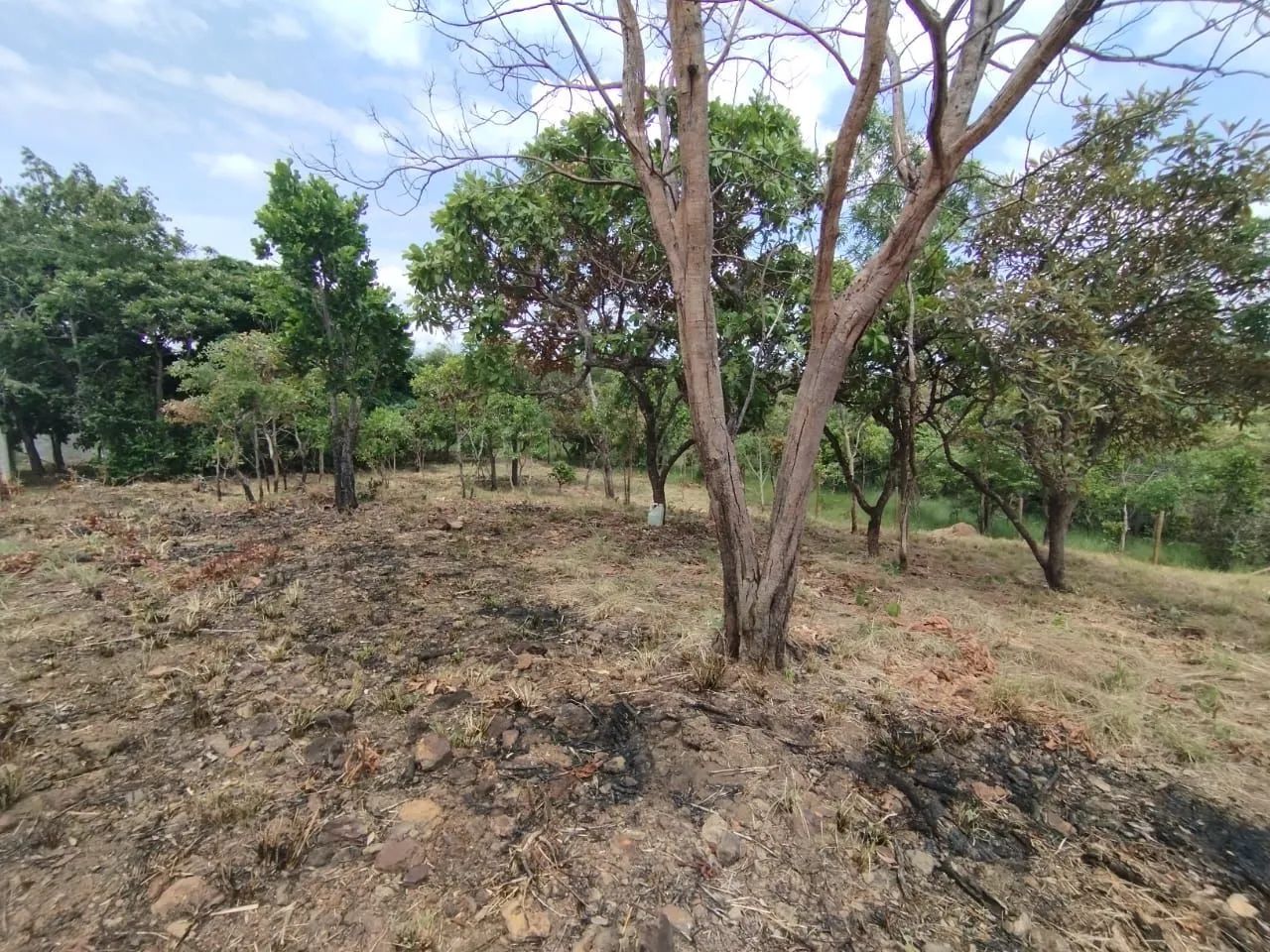 Chácara com 1000m2 na saída para Lajeado - Foto 7