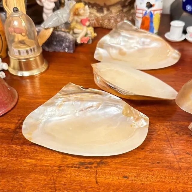 Conjunto com 07 conchas em madrepérola para caviar. - Foto 3