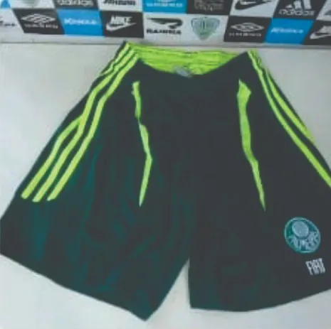 Lote de materiais do Palmeiras