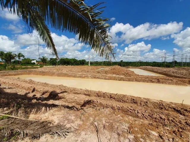 OPORTUNIDADE! TERRENO INDUSTRIAL EM BACABEIRA - MA (25.8 HECTARES) ?