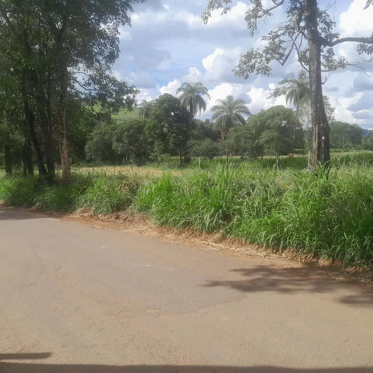 Chacaras em sitio novo 