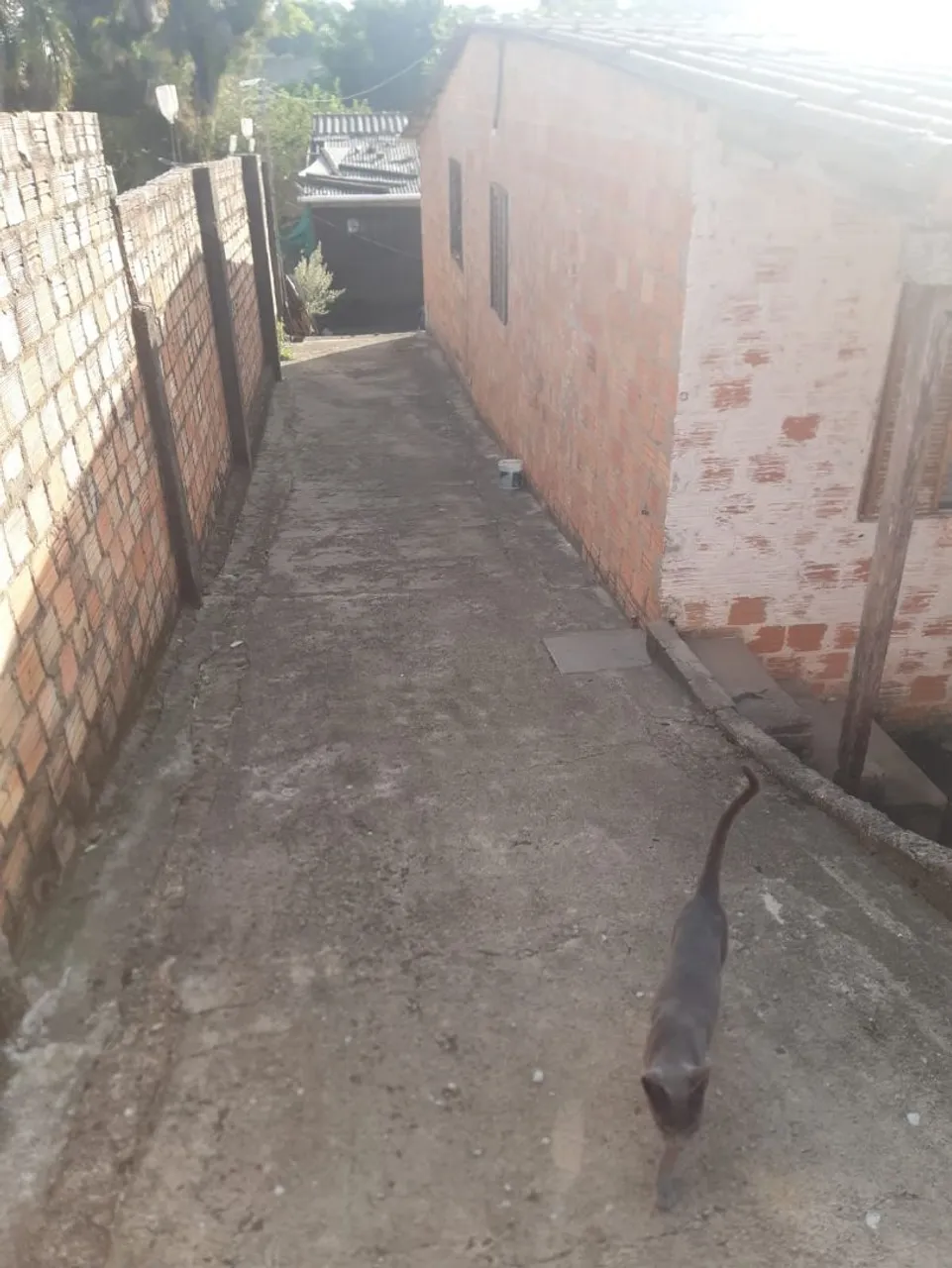 Vendo 2 casas no mesmo terreno