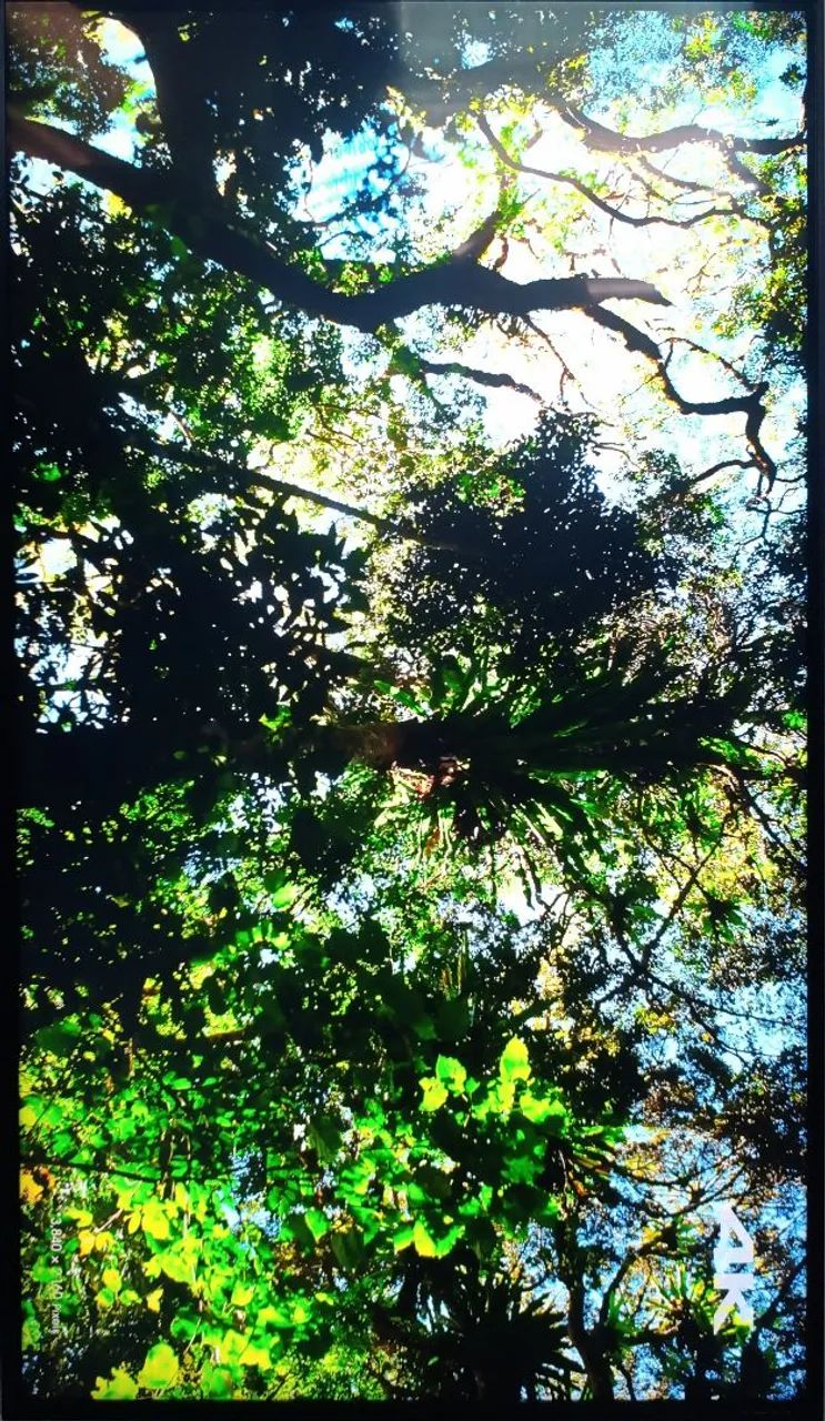 Smart TV LG 43"  - Foto 6