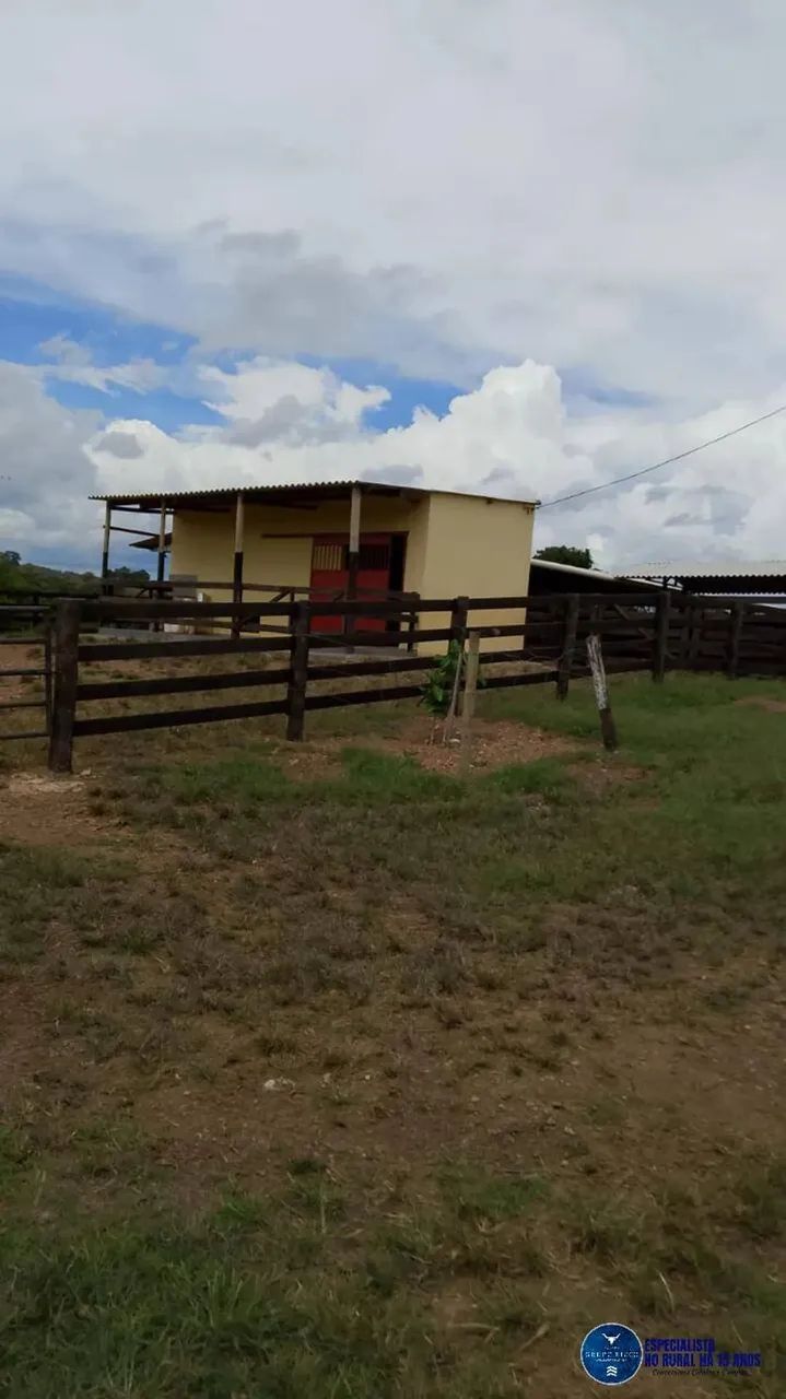 Chácara em Mairipotaba, Goiás com 5 alqueires - Foto 4